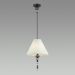Подвесной светильник Odeon Light 4896/1
