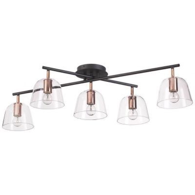 Потолочная люстра Lumion Joseph 4455/5C