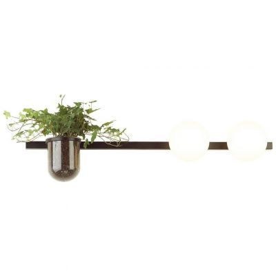 Настенный светильник Odeon Light Flower 4681/2W