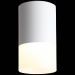 Светильник потолочный ST Luce ST100.542.05