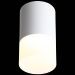 Светильник потолочный ST Luce ST100.542.05
