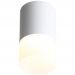 Светильник потолочный ST Luce ST100.542.05