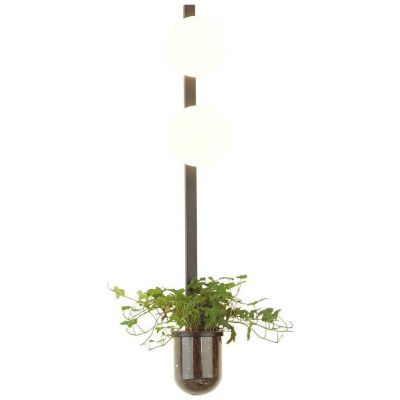 Настенный светильник Odeon Light Flower 4681/2WA