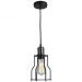Светильник подвесной Lussole LSP-9610 Loft