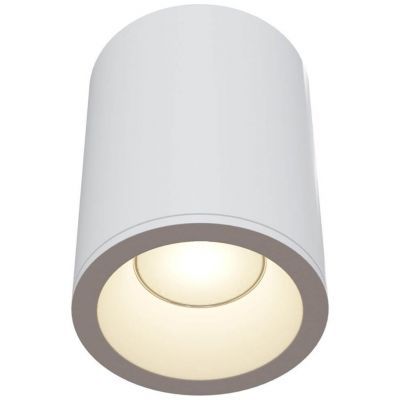Потолочный светильник Maytoni C029CL-01W Antares