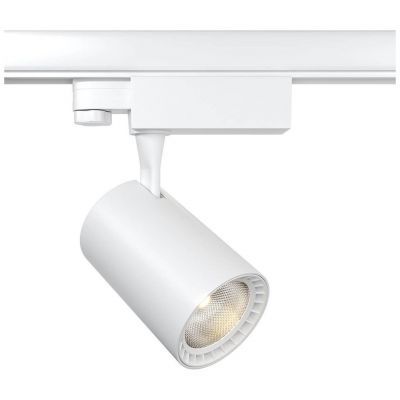 Трековый светодиодный светильник Maytoni TR029-3-10W4K-W