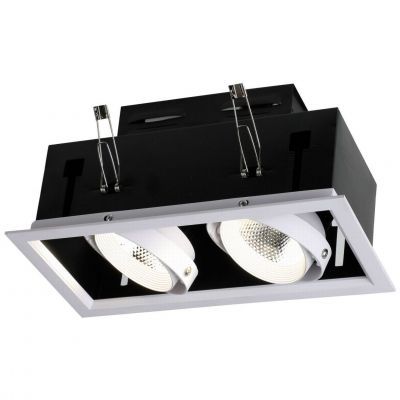 Встраиваемый светильник Favourite 1985-2C Flashled