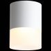 Светильник потолочный ST Luce ST100.542.15