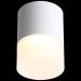 Светильник потолочный ST Luce ST100.542.15