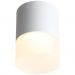Светильник потолочный ST Luce ST100.542.15
