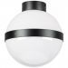 Настенно-потолочный светильник Lightstar Globo 812117