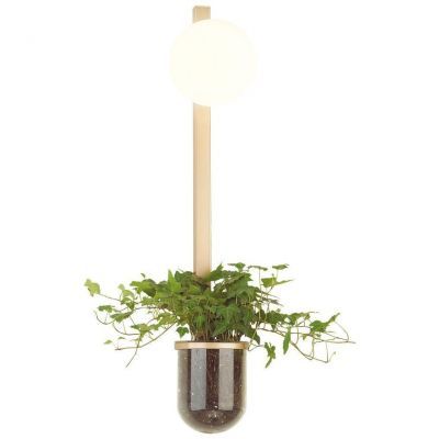 Настенный светильник Odeon Light Flower 4682/1WB