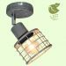 Спот Loft GRLSP-9968