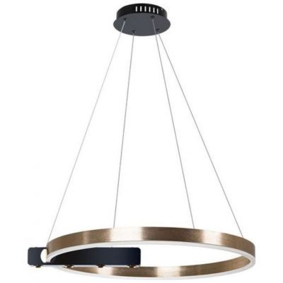 Подвесной светодиодный светильник Arte Lamp Veritate A2221SP-1BR