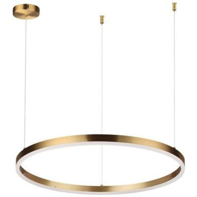 Подвесной светодиодный светильник Lumion Ledio Echo 6531/50L