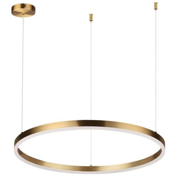 Подвесной светодиодный светильник Lumion Ledio Echo 6531/50L