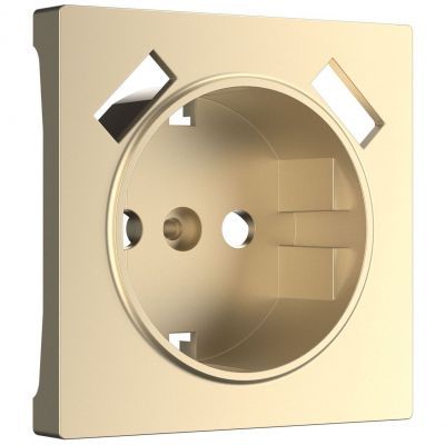 Накладка для USB розетки Werkel W1179511 шампань (WL11-USB-CP)