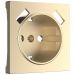 Накладка для USB розетки Werkel W1179511 шампань (WL11-USB-CP)