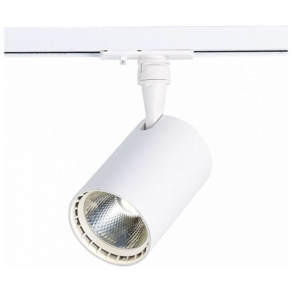 Трековый светильник ST Luce ST351.536.20.36