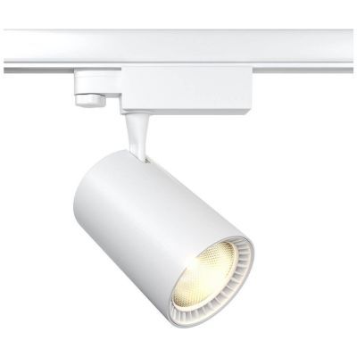 Трековый светодиодный светильник Maytoni TR029-3-20W4K-W
