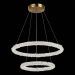 Подвесной светодиодный светильник ST Luce SL6110.203.02