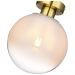 Потолочный светильник ST Luce SL1190.202.01