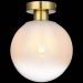 Потолочный светильник ST Luce SL1190.202.01