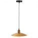 Светильник подвесной ST Luce SL1017.203.01