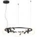 Подвесная светодиодная люстра Odeon Light 4391/55L Corda