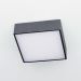 Светодиодный светильник Citilux CL712X122N Тао