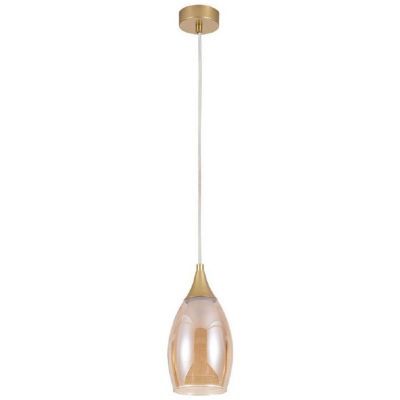 Подвесной светильник Arte Lamp Barry A7951SP-1GO