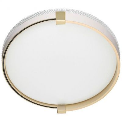 Настенно-потолочный светодиодный светильник Сонекс Pale Olidi White 7646/CL