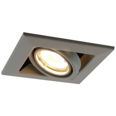 Светильник Arte Lamp A5941PL-1GY