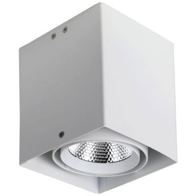Потолочный светильник Favourite 1986-1U Flashled