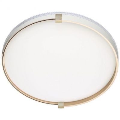 Настенно-потолочный светодиодный светильник Сонекс Pale Olidi White 7646/DL
