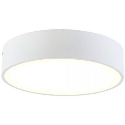 Накладной светодиодный светильник Citilux Тао CL712180N