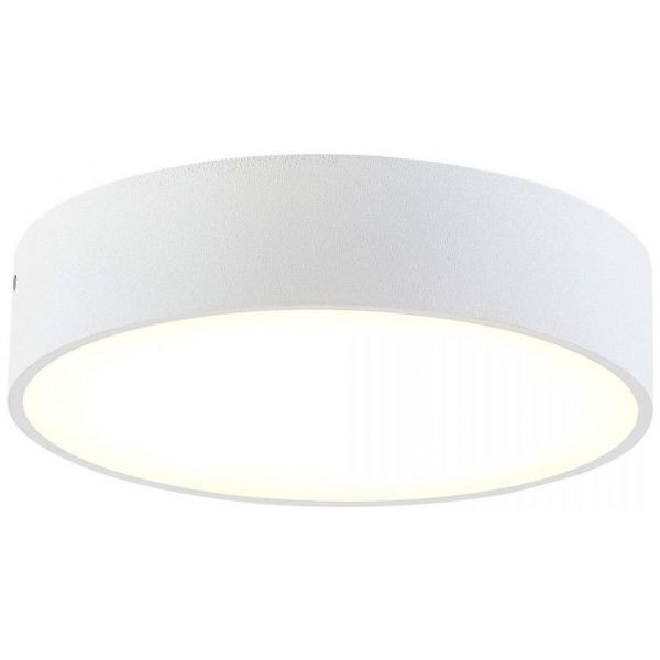 Накладной светодиодный светильник Citilux Тао CL712180N