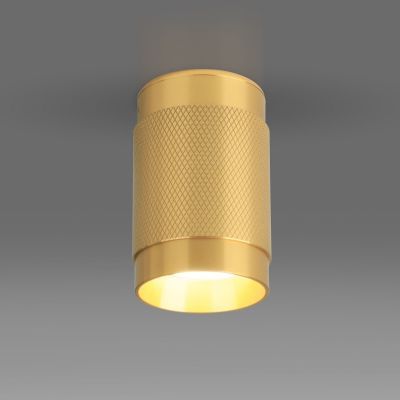 Накладной потолочный светильник Elektrostandard DLN109 GU10 золото