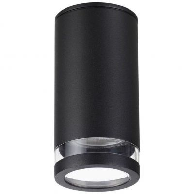 Уличный светильник Odeon Light 6605/1C