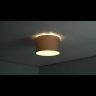 Потолочный cветильник Nowodvorski Cameron 9683