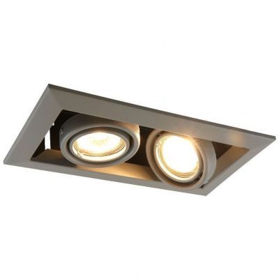 Светильник Arte Lamp A5941PL-2GY