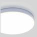 Накладной потолочный светодиодный светильник Elektrostandard DLR043 10W 4200K