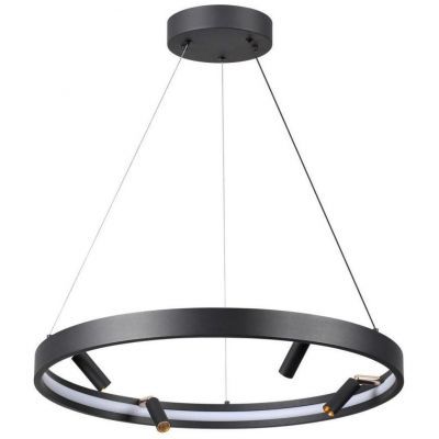 Подвесная светодиодная люстра Odeon Light 4317/58L