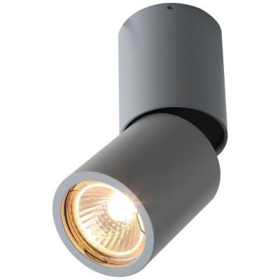 Спот Divinare 1800/05 PL-1
