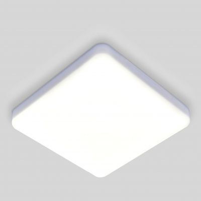Накладной потолочный светодиодный светильник Elektrostandard DLS043 10W 4200K