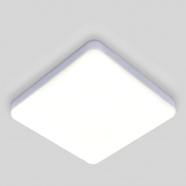 Накладной потолочный светодиодный светильник Elektrostandard DLS043 10W 4200K