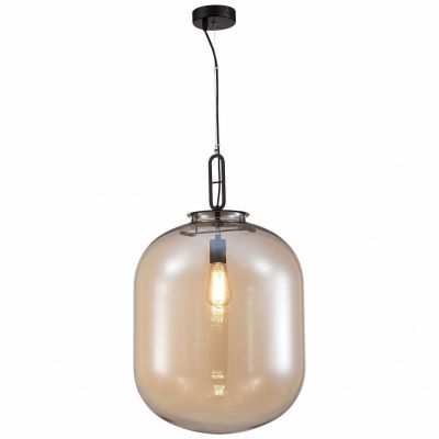 Светильник подвесной ST Luce SL1050.423.01