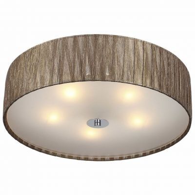 Светильник потолочный ST Luce SL357.702.05