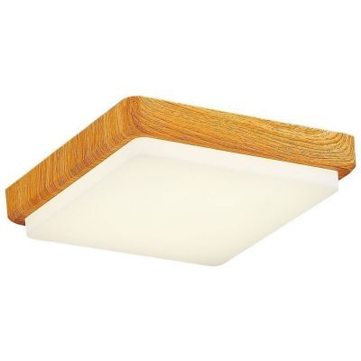 Светильник потолочный Evoluce SLE200202-01