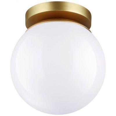 Потолочный светильник Odeon Light Bosco 4247/1C